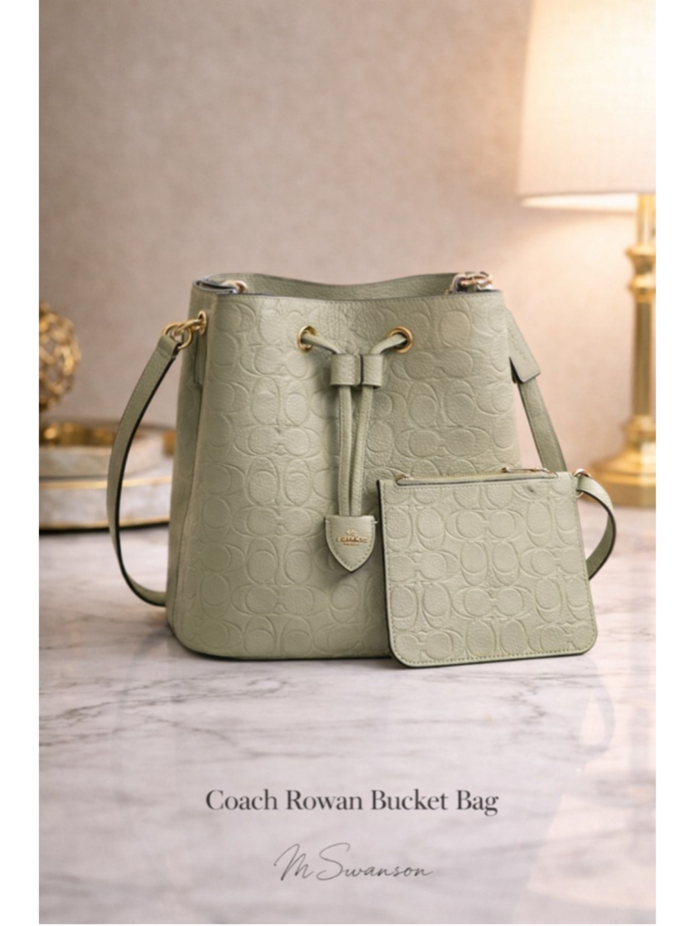 NEW Coach Rowan Bucket Bag in Pistachio Signature Leather Crossbody CEA96 NWT